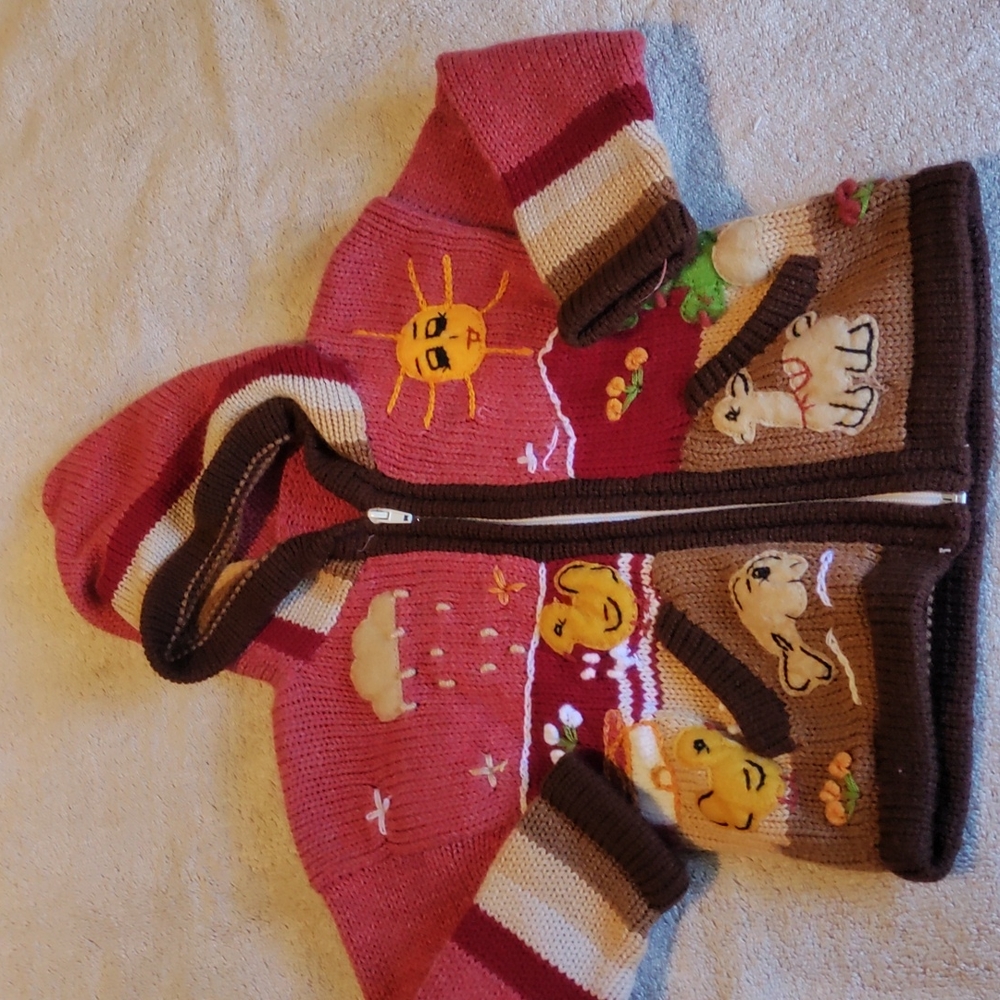 2T Girl's Fall Sweater
